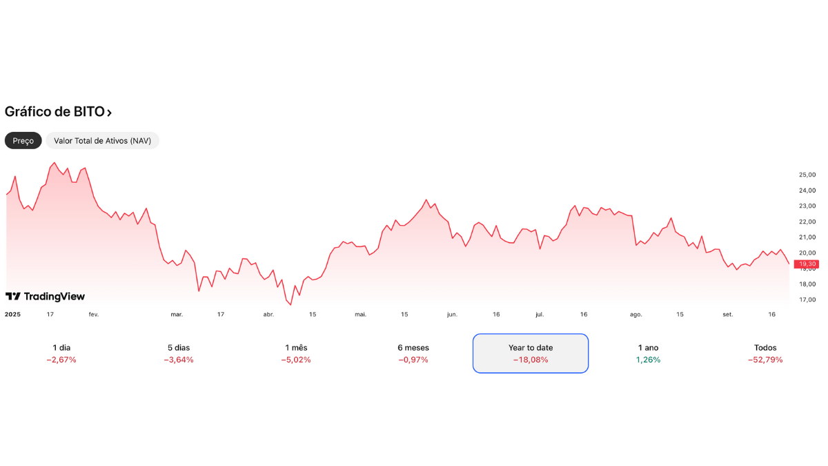 bito grafico
