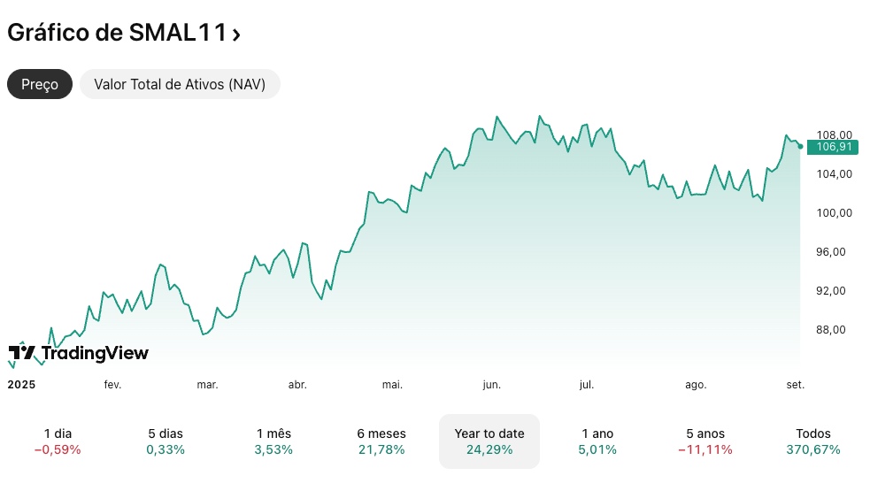 grafico small11