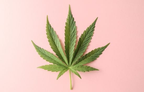 investir em. cannabis