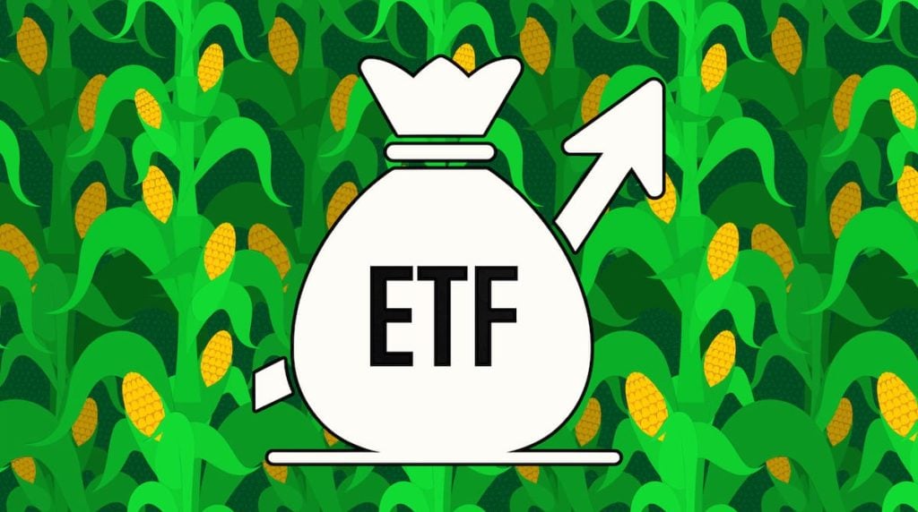 ETFs de milho: conhece tudo deles