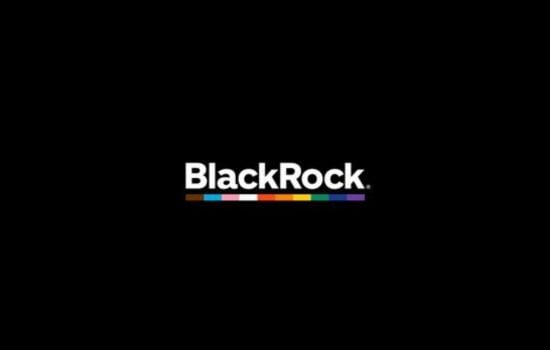 BlackRock Brasil Investimentos