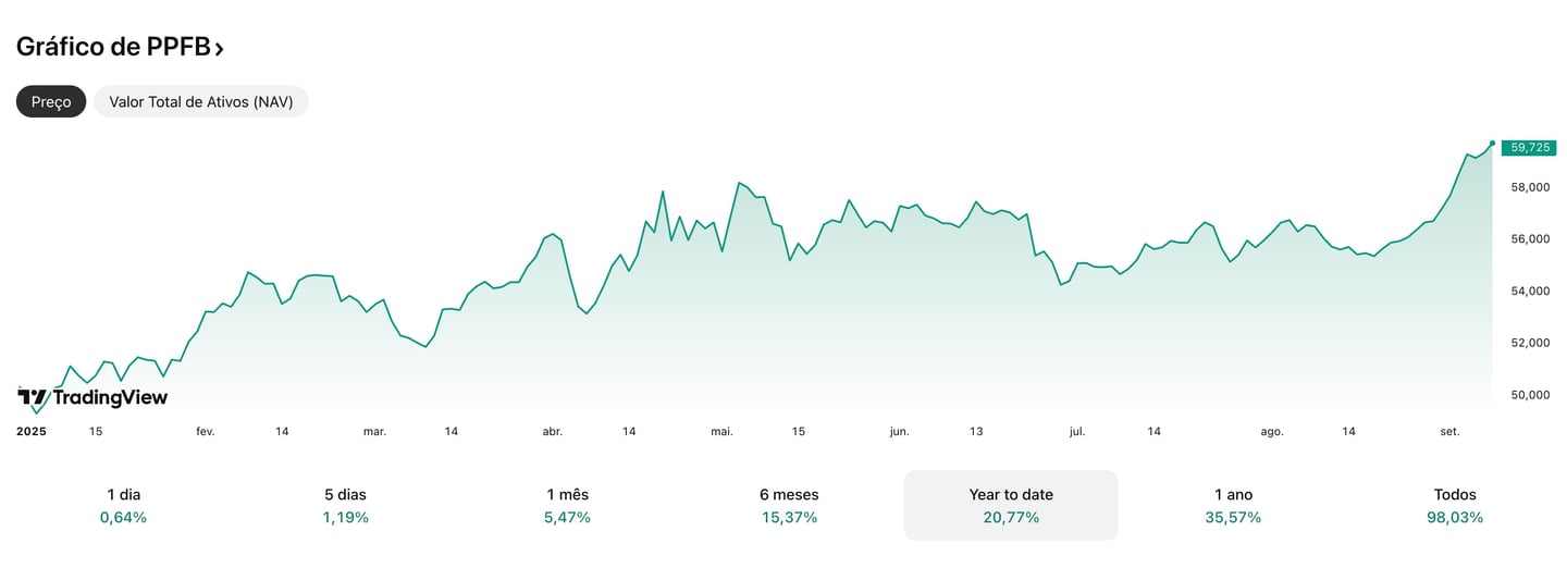 Gráfico de desempenho do ETF PPFB em 2025, mostrando valorização consistente e tendência de alta year to date.