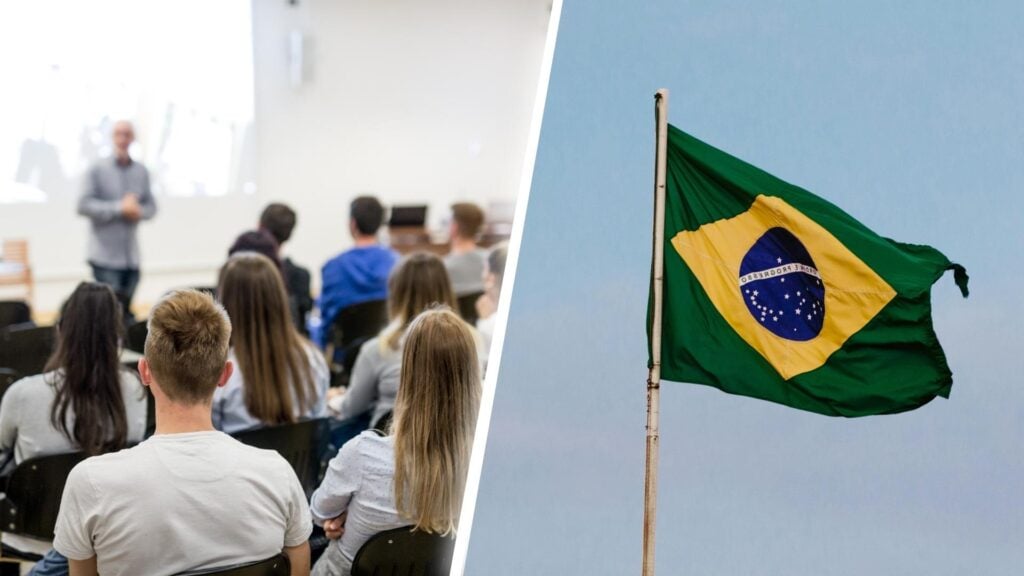 academias trading brasil