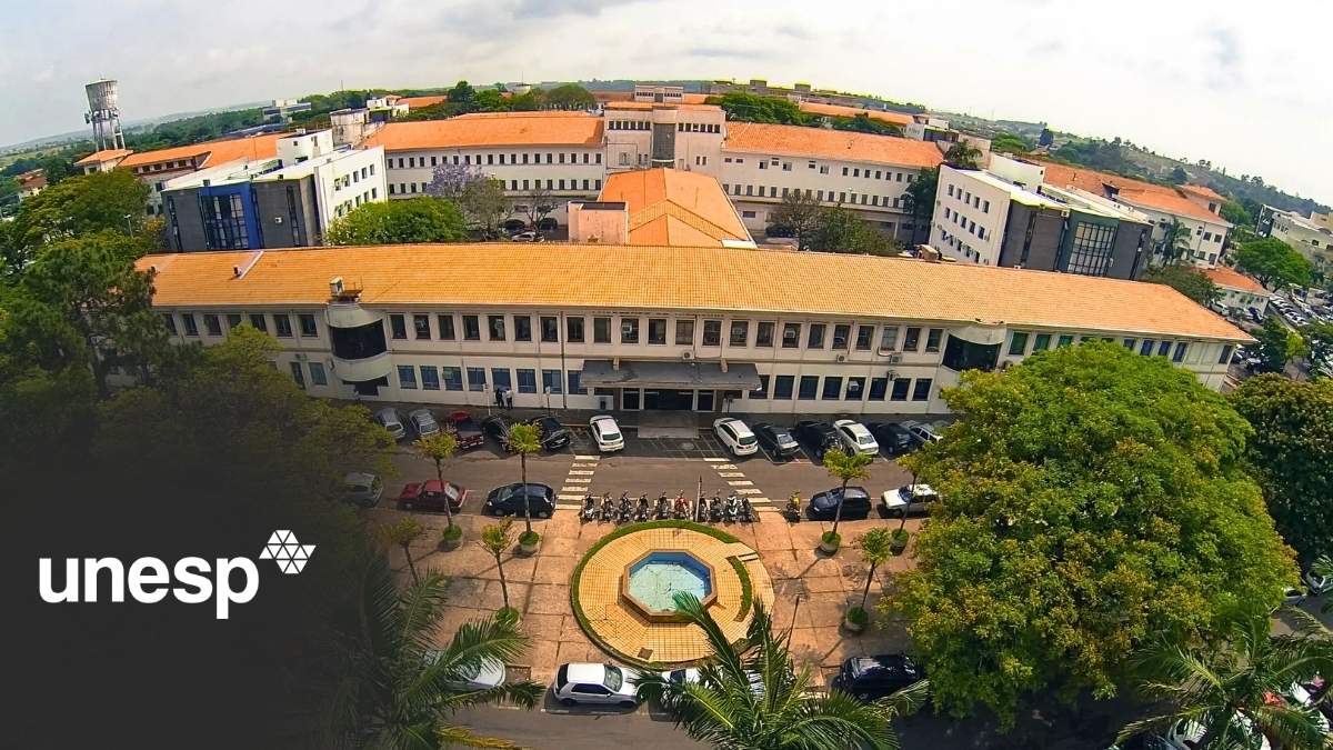 unesp universidade